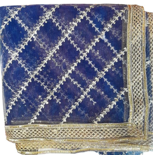 Sequence Net Dupatta – 2.5 Yards Luxury Party Wear Dupatta